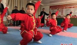 武术班在线观看,领略中华武术魅力之旅